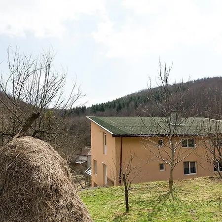 Lodge Casa Petru Stolna