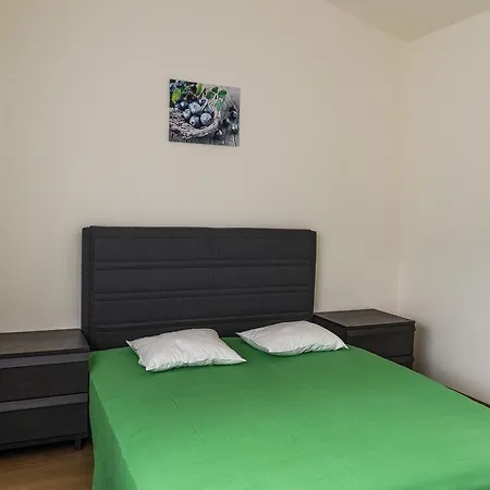 Casa Petru *